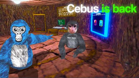 cebus game|What it's like to be owner in a gorilla tag fan game.